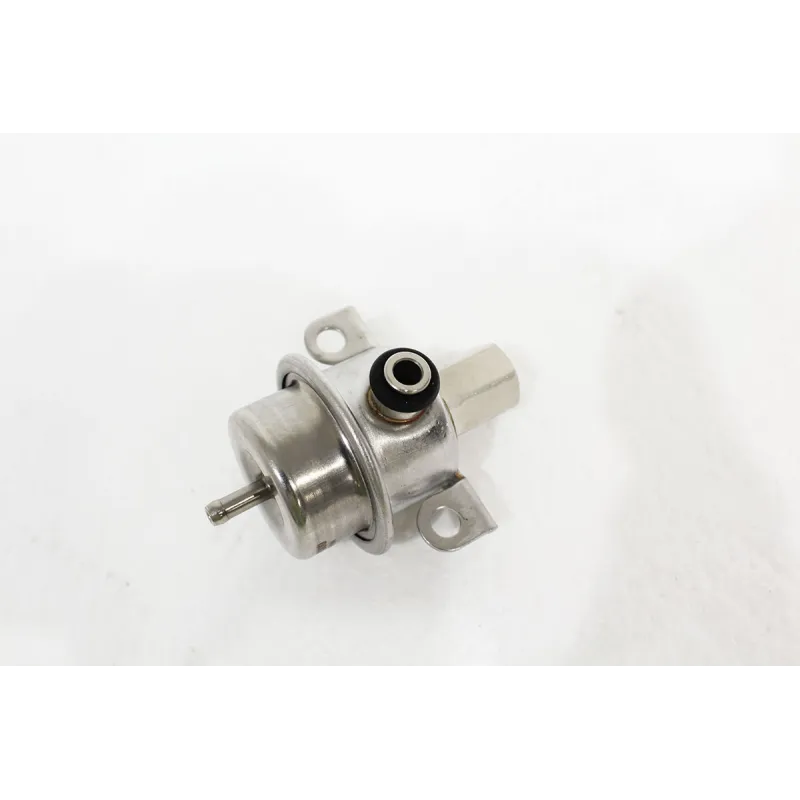 REGULATOR-FUEL PRESSURE