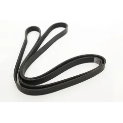 DRIVE BELT - POLYVEE