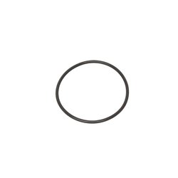 O RING