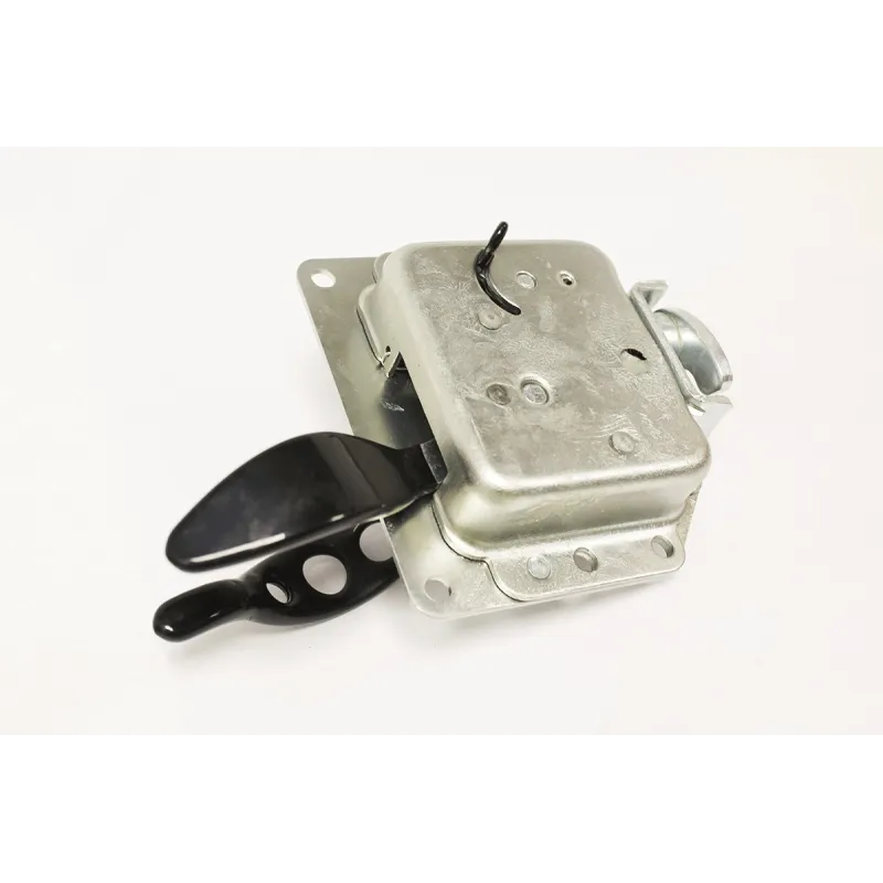 TAILGATE DOOR HANDLE AND LATCH