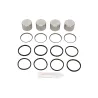 REAR AXLE S/S CALIPER KIT DEF 90 DISCO 1