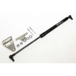 GAS STRUT - REAR DOOR