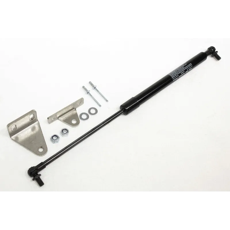 GAS STRUT - REAR DOOR