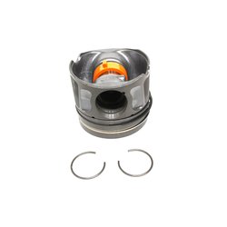 PISTON 3LTR TDV6 STD