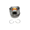 PISTON 3LTR TDV6 STD