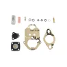 WEBER SERVICE KIT