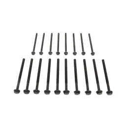 HEAD BOLT SET PUMA 2.2