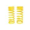 SPRING KIT REAR HD 90/D1/RRC
