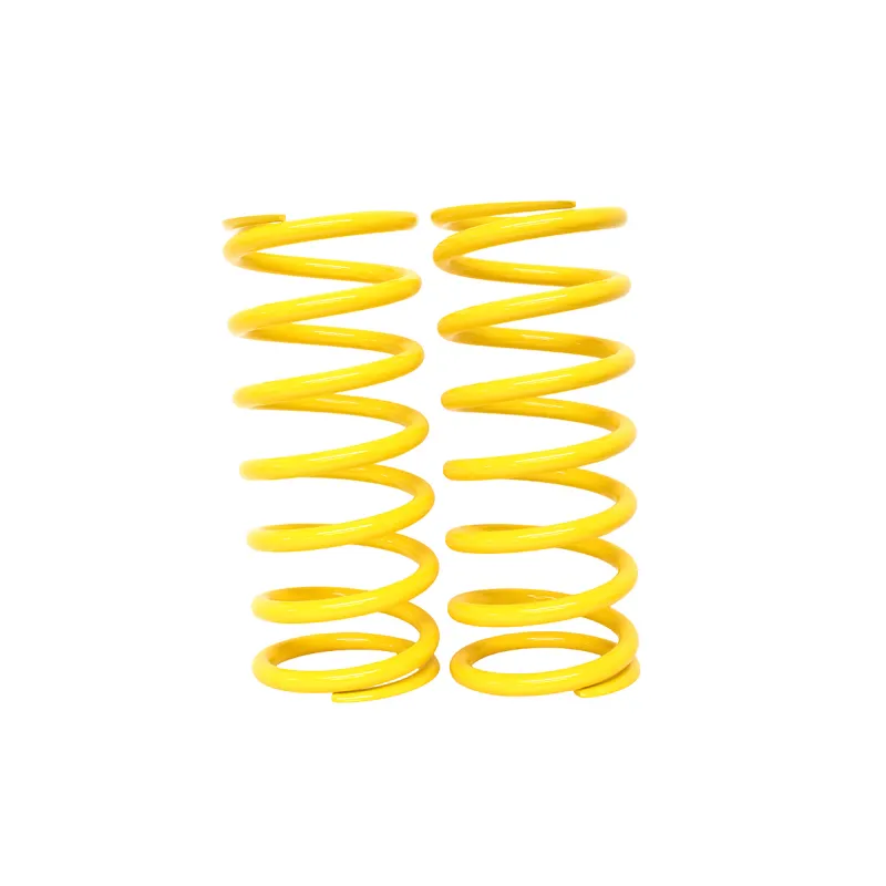 SPRING KIT REAR HD 110