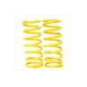 SPRING KIT REAR HD 110