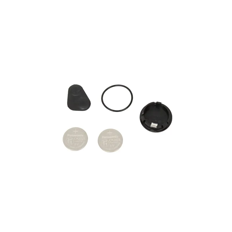 P38 REMOTE REPAIR KIT