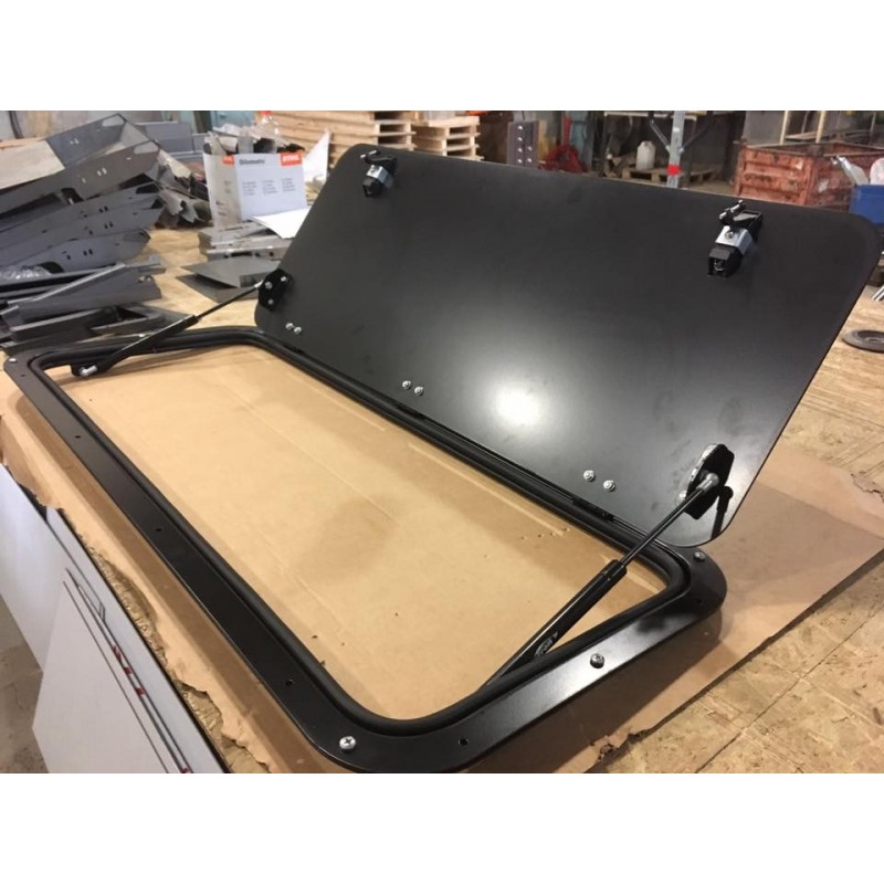 Gullwing window