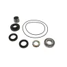 FL2 REAR DIFF PINION BEARING KIT NO OIL