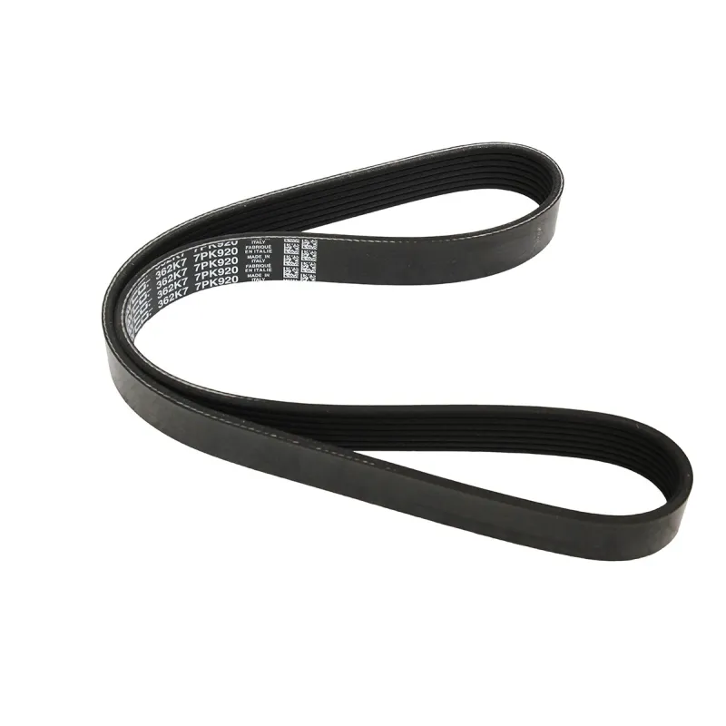 DRIVE BELT