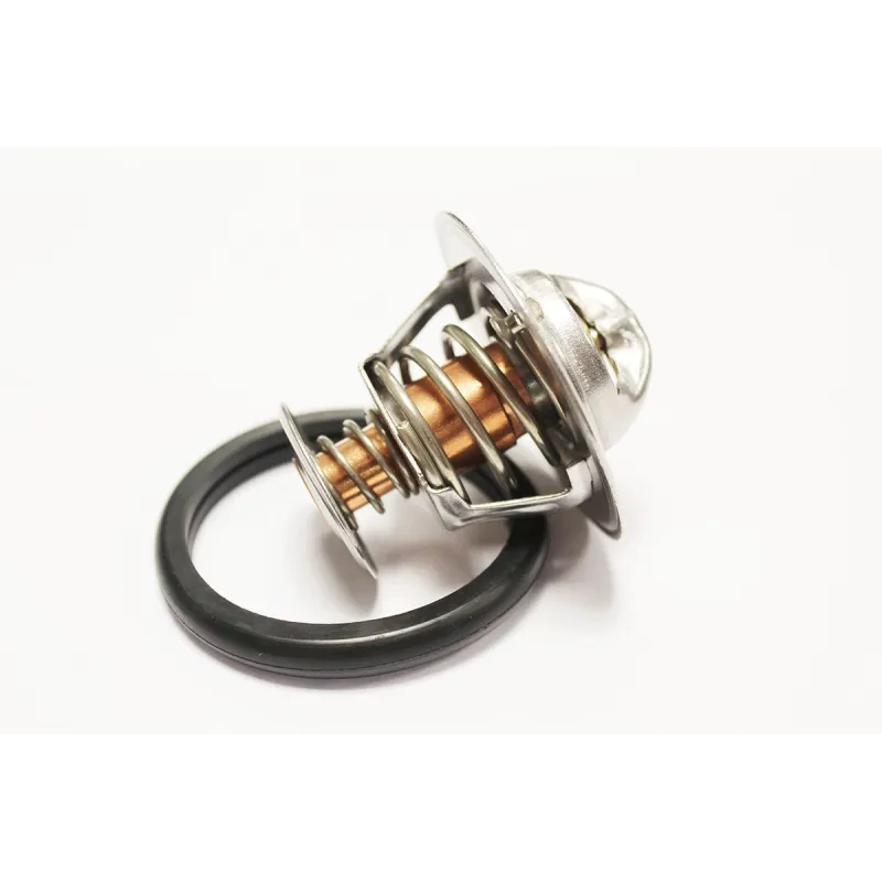 THERMOSTAT