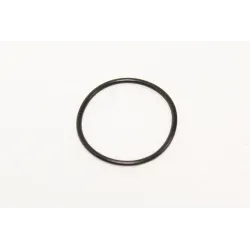 FUEL PUMP SEAL