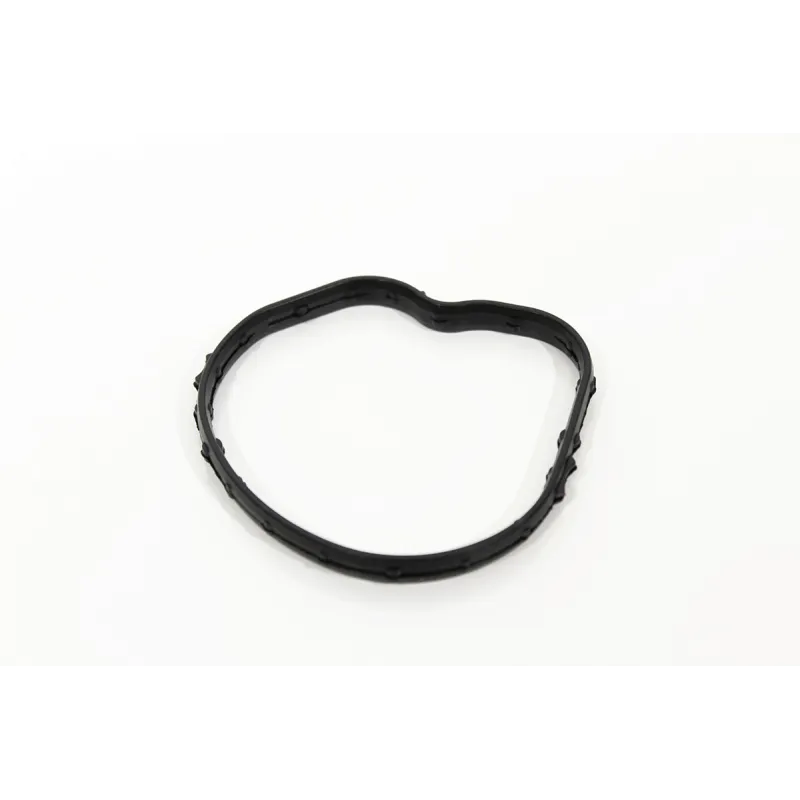 THERMOSTAT SEAL