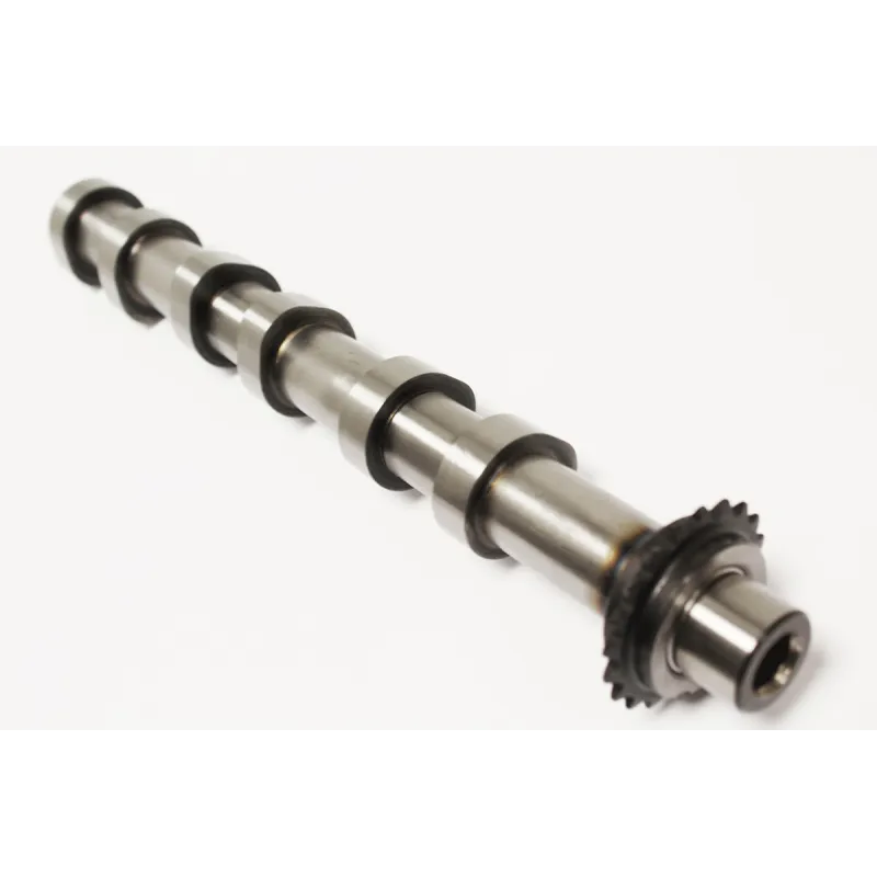 CAMSHAFT-INLET LH