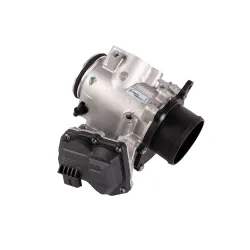 EGR VALVE + THROTTLE BODY ASSY