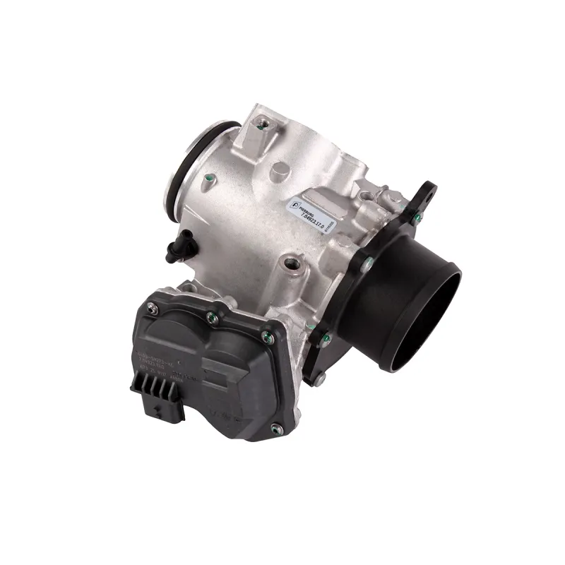EGR VALVE + THROTTLE BODY ASSY