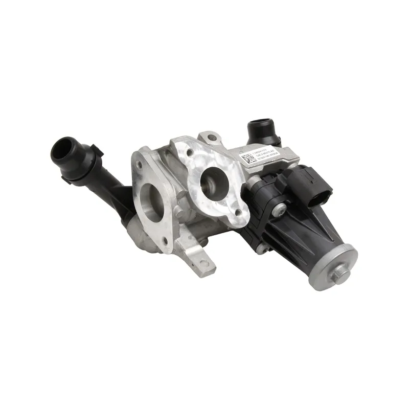 EGR VALVE ASSY