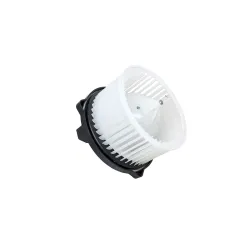 HEATER BLOWER MOTOR AND FAN ASSY