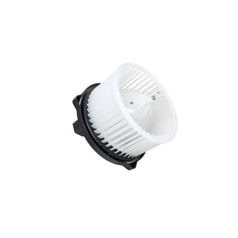 HEATER BLOWER MOTOR AND FAN ASSY