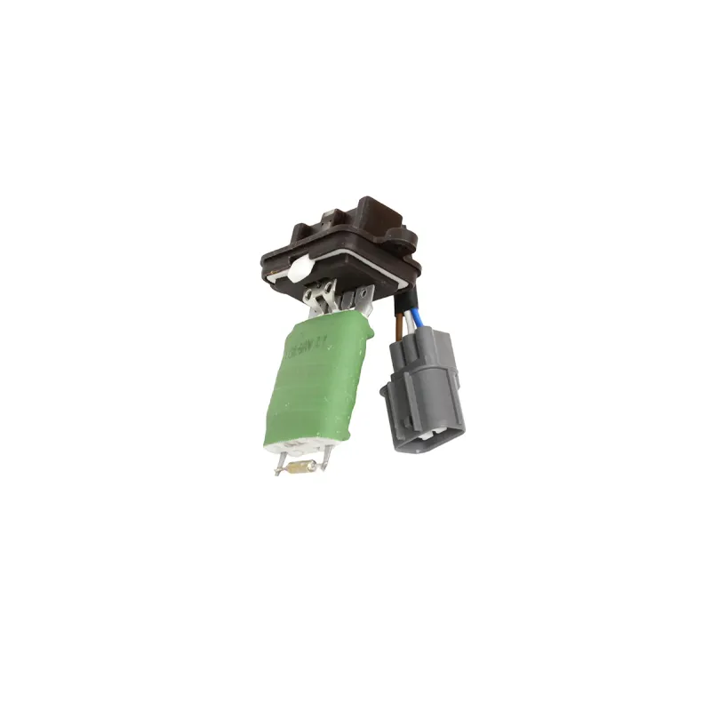RESISTOR ASSY