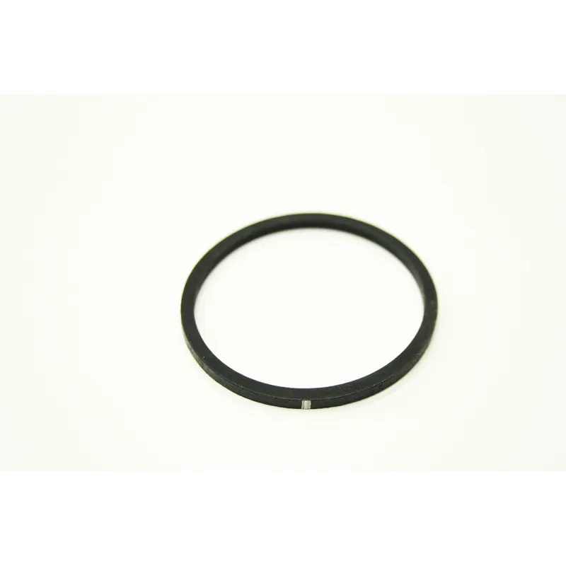 BRAKE SERVO SEAL