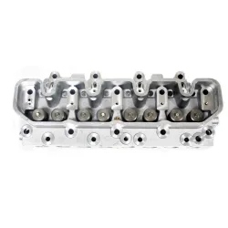 CYLINDER HEAD WITH VALVES
