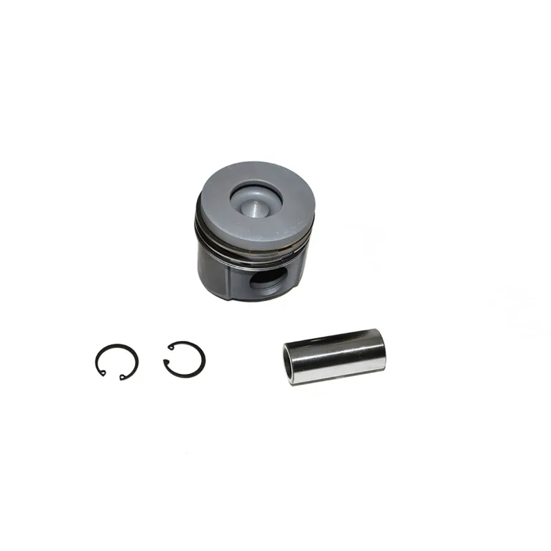 PISTON ASSY -020