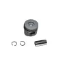 PISTON ASSY -020