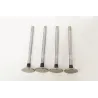 VALVE - EXHAUST