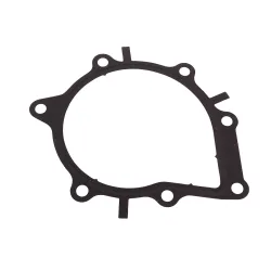 GASKET - WATER PUMP