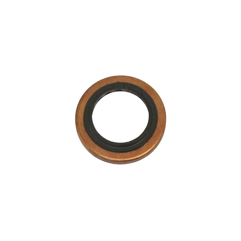 O-Ring