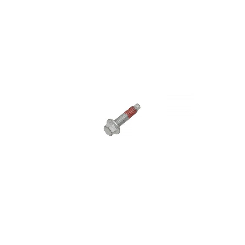BOLT - FUEL INJECTION PUMP