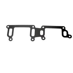 GASKET - WATER MANIFOLD