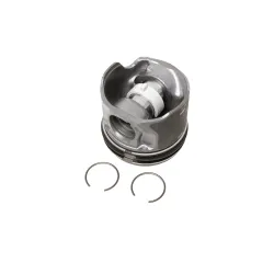 PISTON COMPLETE