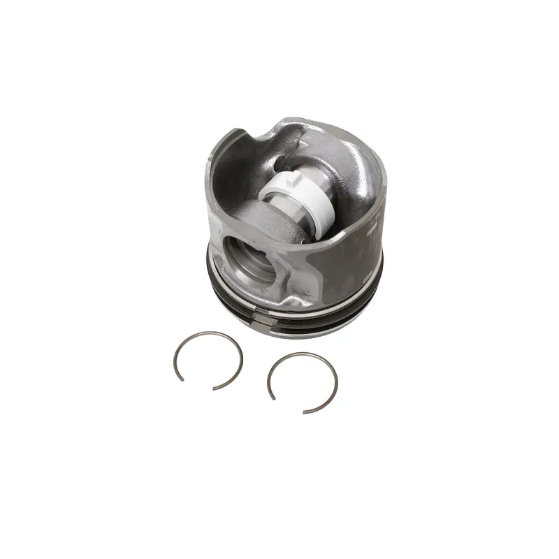 PISTON COMPLETE