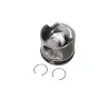 PISTON COMPLETE