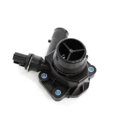 THERMOSTAT ASSY