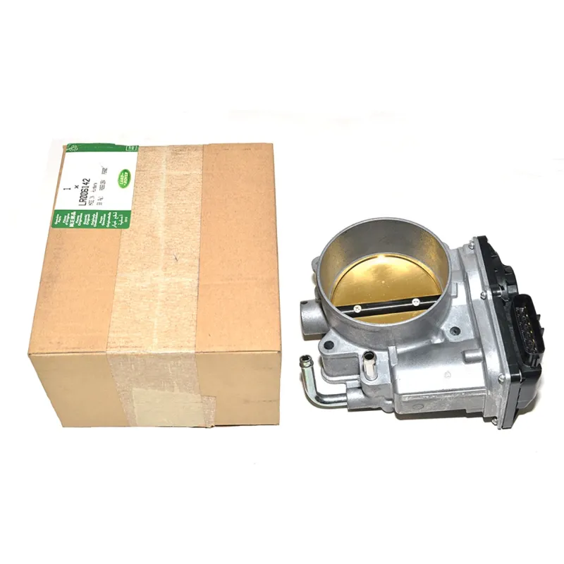 Throttle Body And Motor