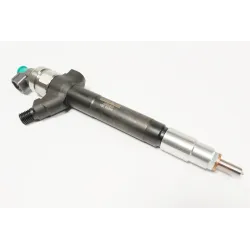 INJECTOR - FUEL - NOZZLE AND HOL