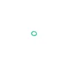 O-RING - 11MM
