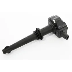 COIL - IGNITION - D4/R1/RS2