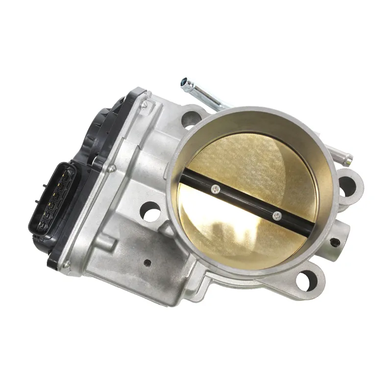 Throttle Body And Motor