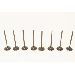 INLET VALVE