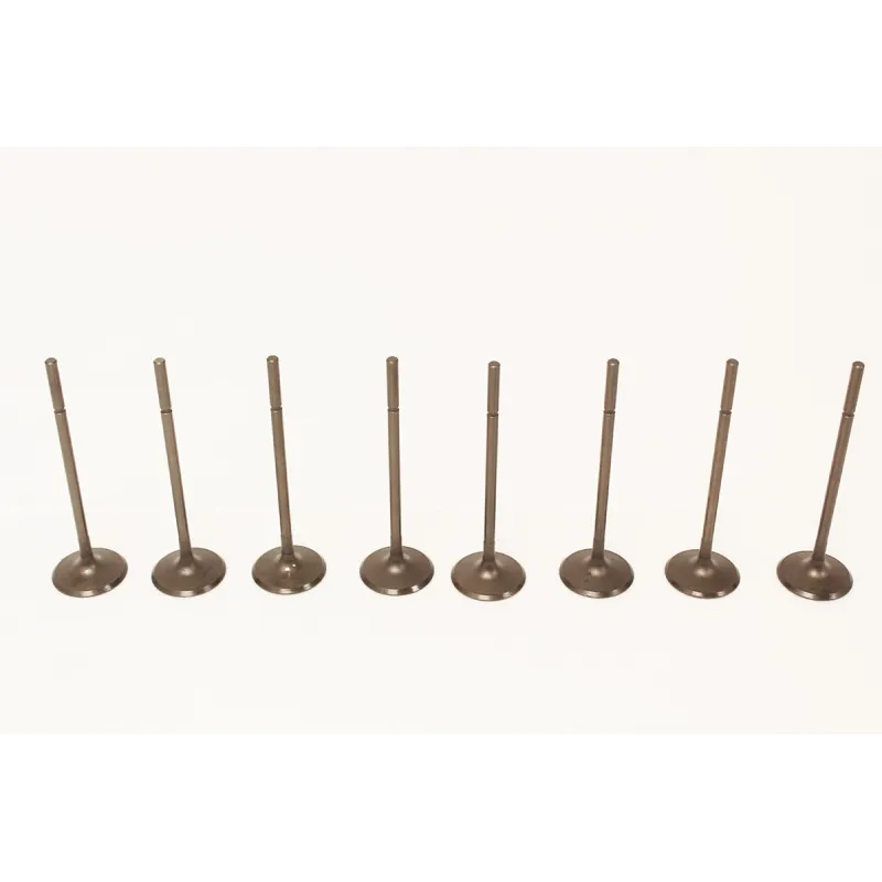 INLET VALVE