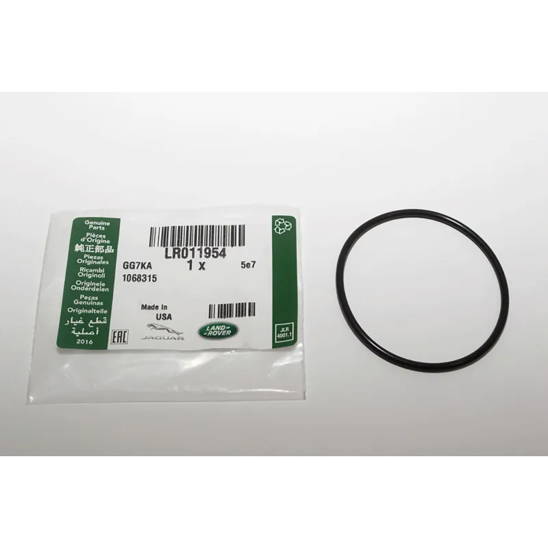 O-Ring