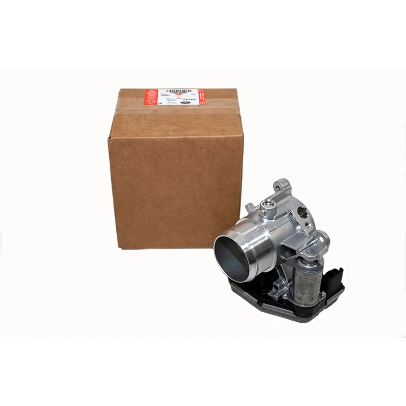 THROTTLE BODY AND MOTOR